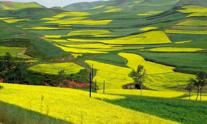 4-Day Tour to Yangshuo Li River Cruise & Longsheng Rice Terraces