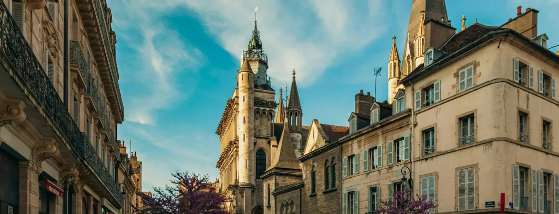 Dijon audio walking tour through medieval streets and townhouses