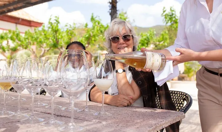 Private Wine Tasting at Winery Near Barcelona