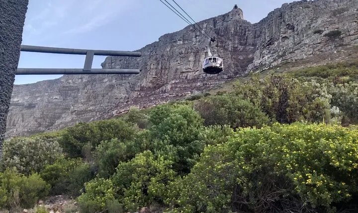 Table Mountain Cable Car with Kirstenbosch Garden Day Tour