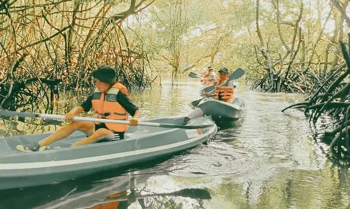 Bali Mangrove Forest Canoeing, Uluwatu Temple and Kecak Dance
