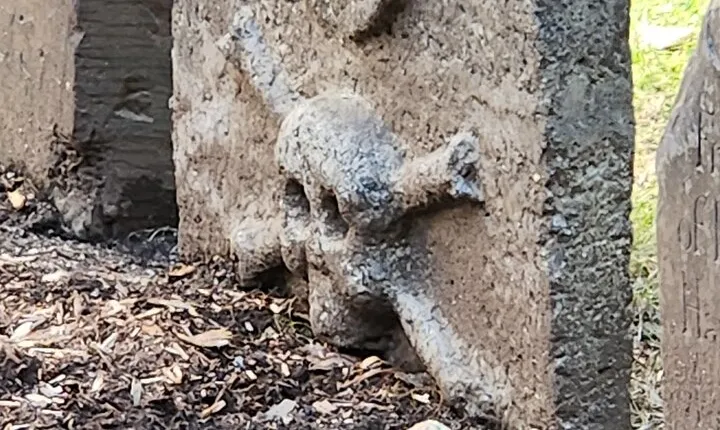 Unexpected Wall Street Walking Tour