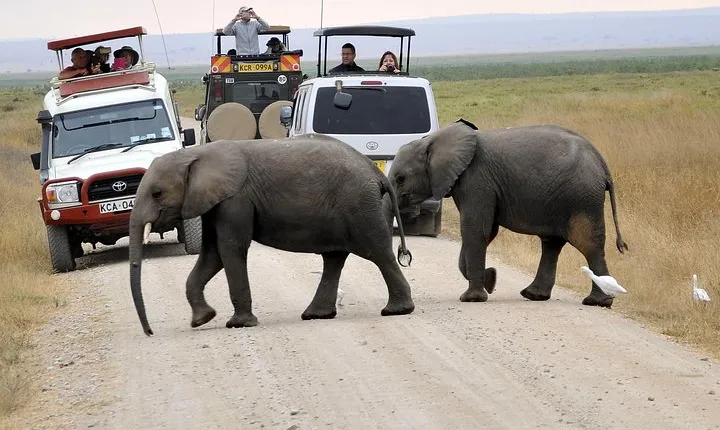 3 Days 2 Nights Private Masai Mara Safari