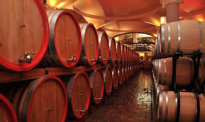 Private Wine Tour of Stobi Winery from Skopje