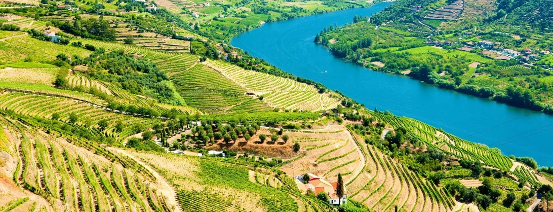 Douro Valley guided tour with wine tasting, lunch and river cruise from Porto