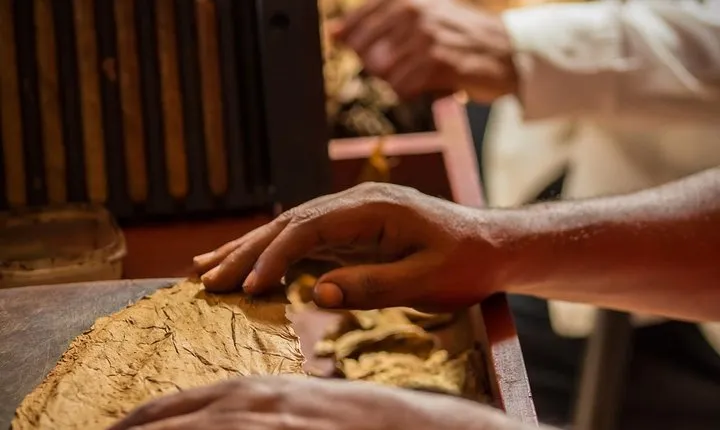 Dominican Cigar Factory Tour