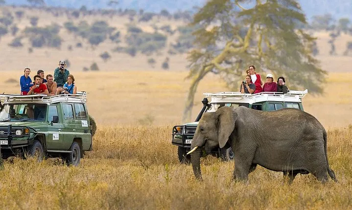 2 Days 1 Night Amboseli National Park Luxury Lodge Safari