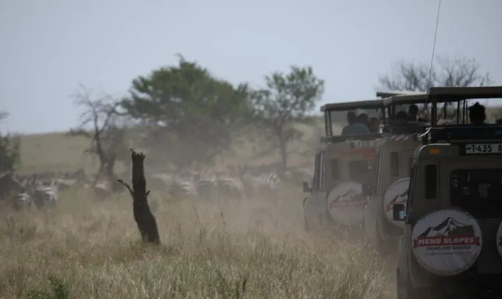 Private 6 Day Great Wildebeest Migration Ndutu Calving Season