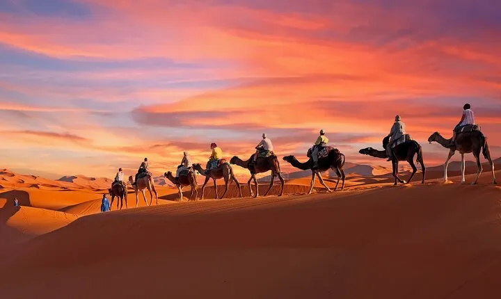 2-Day Tunisia Sahara Desert Camel Trek from Douz