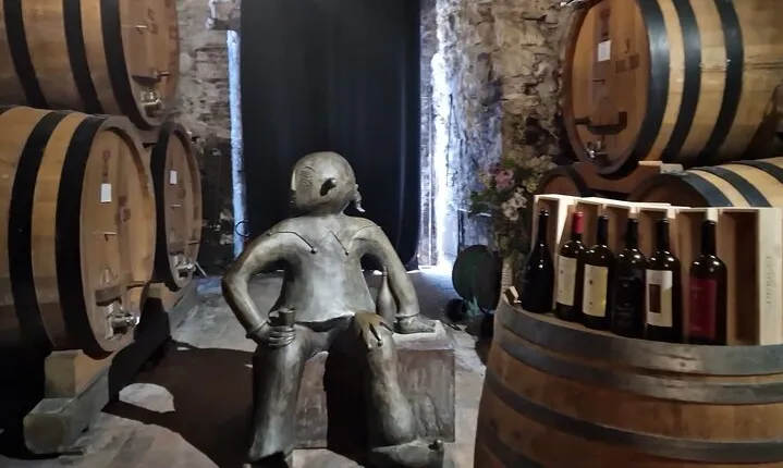 Wine Tasting in Montepulciano Tuscany Private Tour from Rome