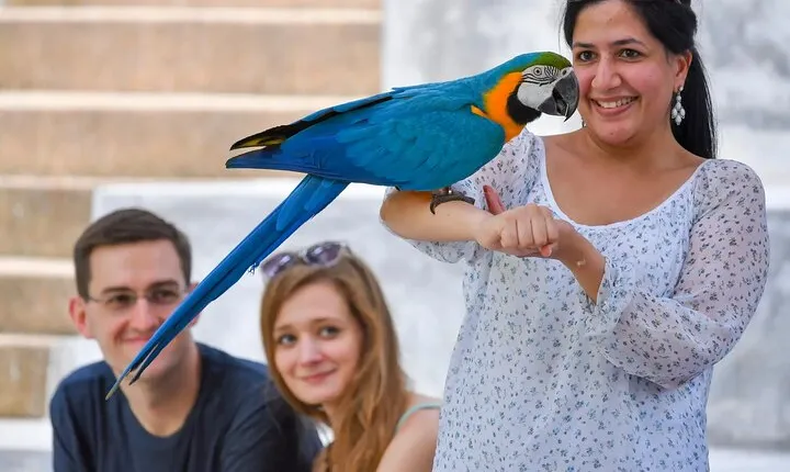 Kuala Lumpur Bird Park & Countryside Escape Tour