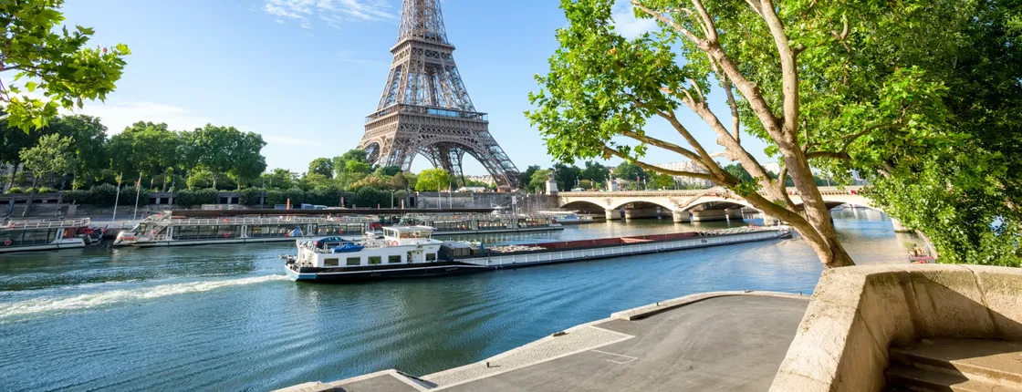 Eiffel Tower direct access ticket and Seine cruise