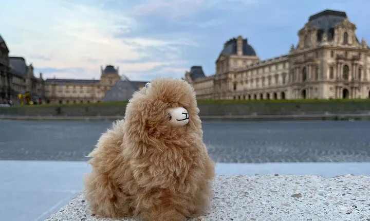 Full Day Private Guided Tour of Paris and Versailles