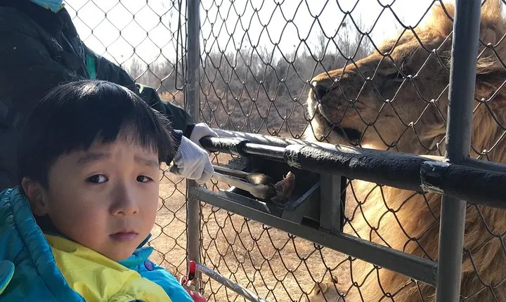 Private Full-Day Beijing Wildlife Park Tour