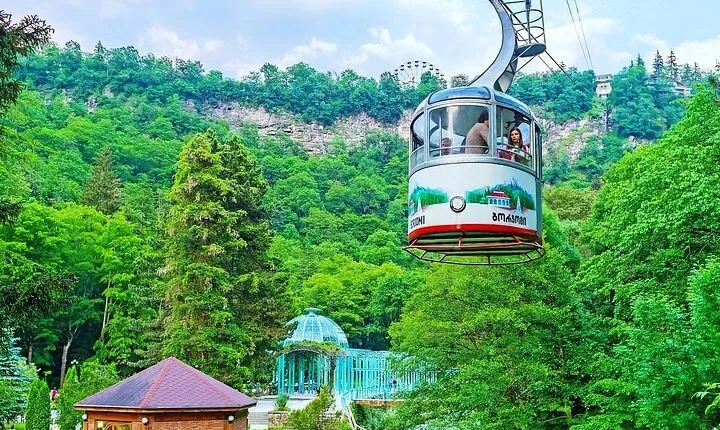 Borjomi National Park Full Day Private Tour From Tbilisi