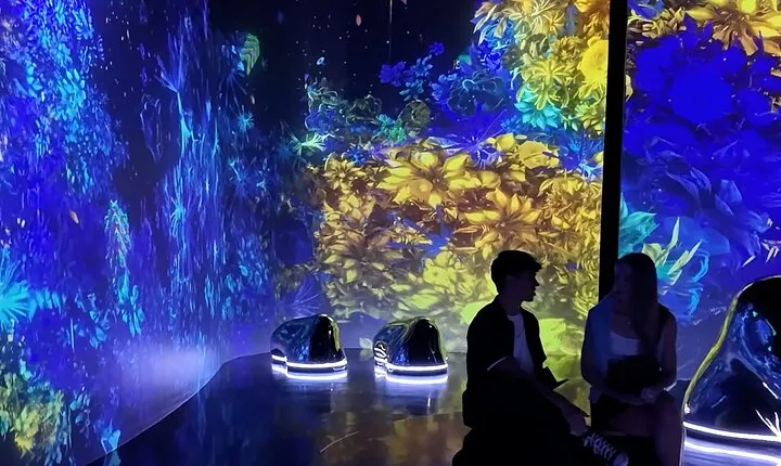 Private Dubai Tour: Aya Universe, Frame, Miracle & Global Village