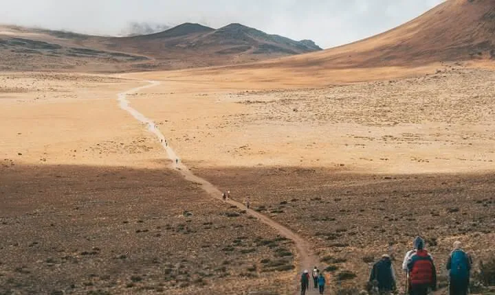 5 Days Private Kilimanjaro Hike through Marangu Route