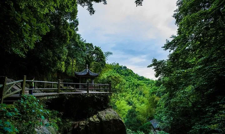 Plog and Hike Mount Mogan Nature Reserve – Guided Outdoor Tour from Hangzhou