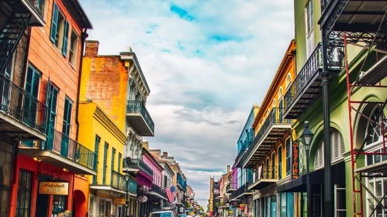 New Orleans citywide driving private tour with local musician