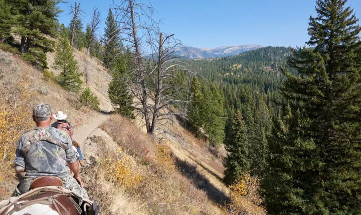 Bridger-Teton Horseback Trail Rides