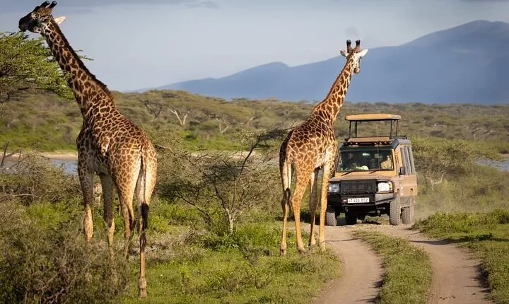 3 Day - Tarangire, Ngorongoro & Lake Manyara