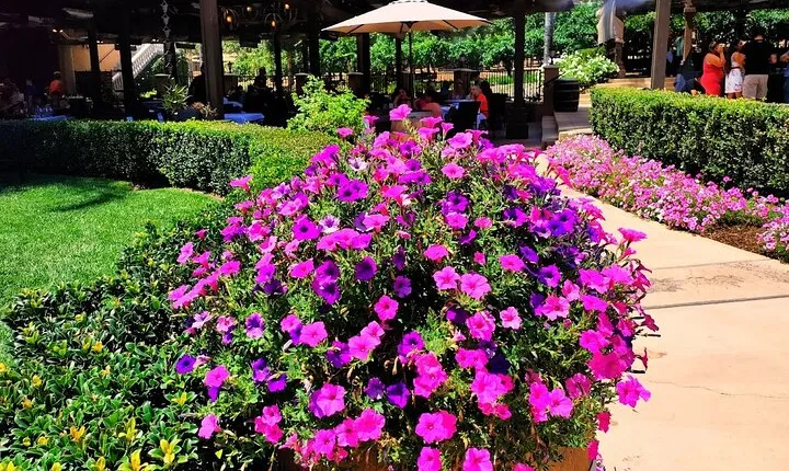 Temecula Wine Tour from Los Angeles