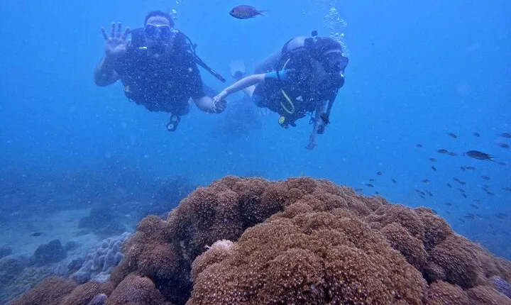 [GROUP] SCUBA DIVING For Beginners in Phu Quoc Island (TRY DIVE)