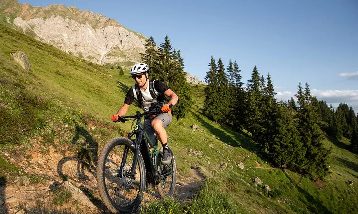 12-Hour E-bike Rental in Lake Bled