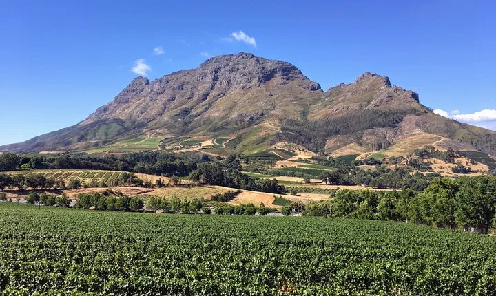 Wine tasting - Boutique farms