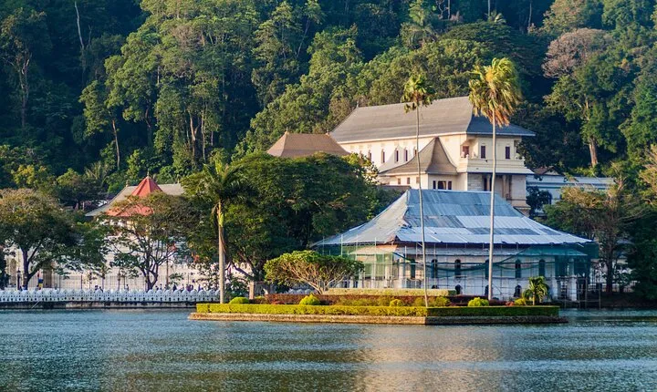 Kandy Day Tour with tea factory visit From Negombo