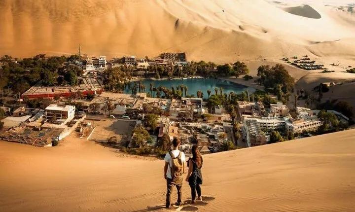 Full Day Guided Trip to Ballestas Island and Huacachina Oasis