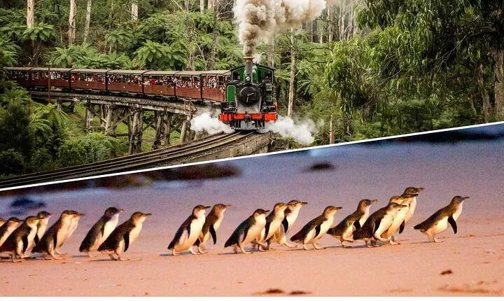 Puffing Billy and Penguin Parade Day Tour From Melbourne