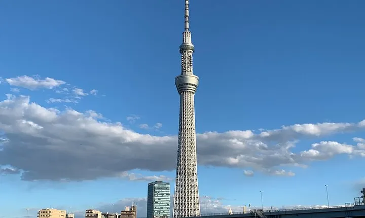 Asakusa: TOKYO SKYTREE exploration after history tour