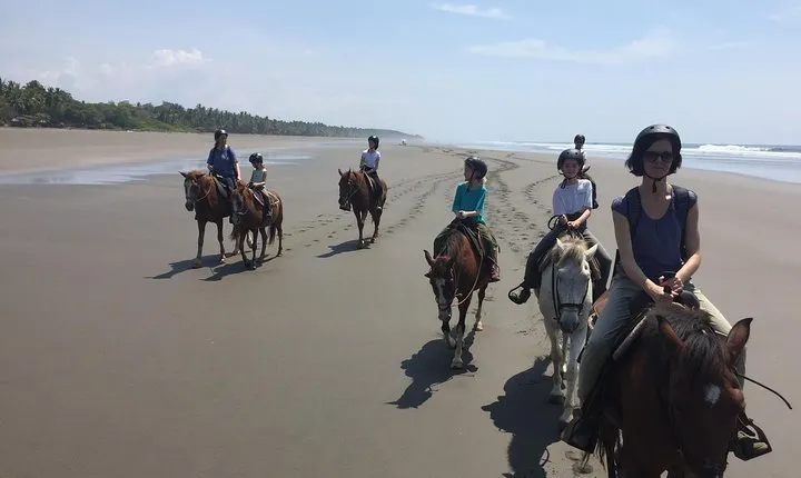 Quality HorseBack Riding On The Beach Of Esterillos Este NOT JACO
