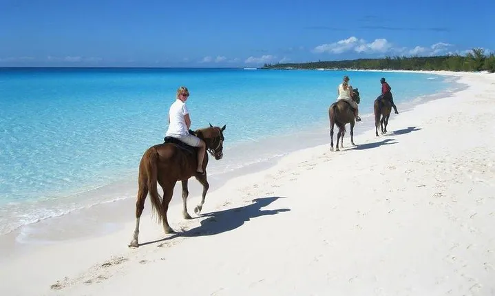 Punta cana Beach Macao Horseback riding ( Free Photos Package)
