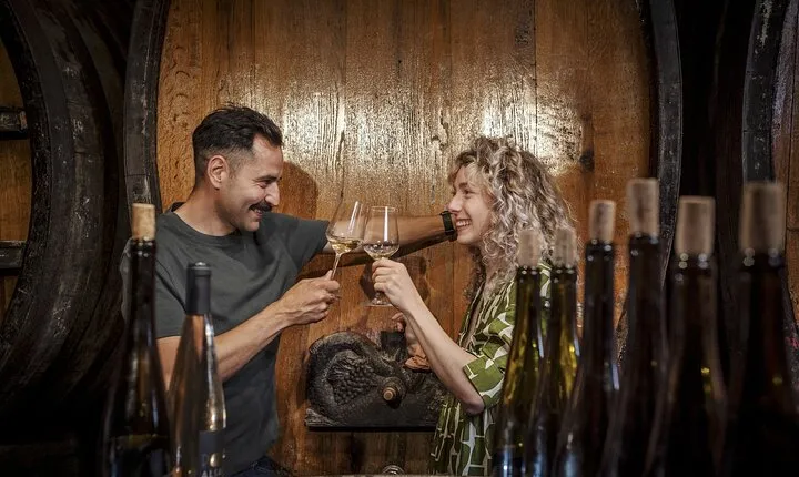 Alsace Grand Cru Private Day Tour from Strasbourg