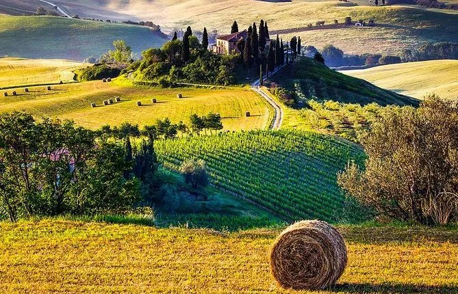 Tuscany Wine & Hills from Florence
