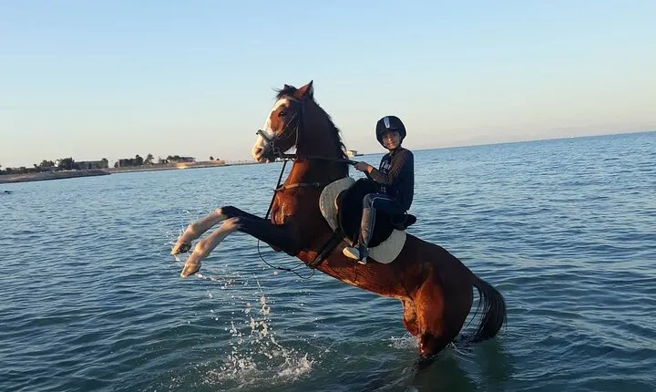 4 Hour Horse Riding in the Desert and Sea 