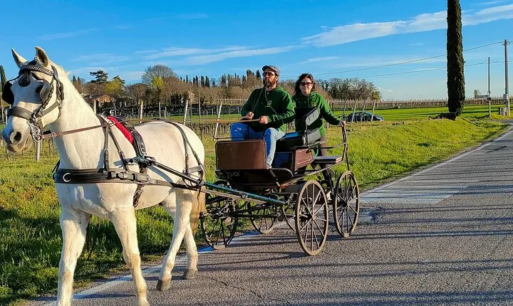 Horse Carriage Tour and Wine Tasting in Lazise