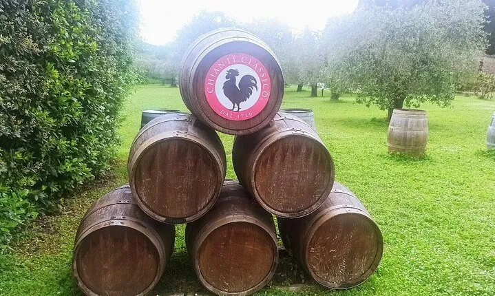 Chianti Classico "Black Rooster" and "Super Tuscan" Wine Tour 