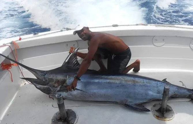 Private Fishing Charter in Punta Cana (Fiol)