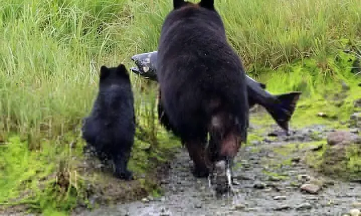 Private Custom Excursion in Ketchikan for up to 14 people