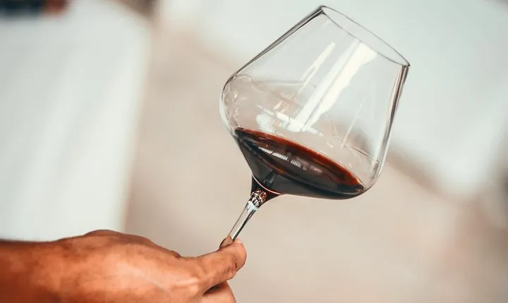 Medoc Region Wine Day Trip with Vineyard Visits & Tastings from Bordeaux