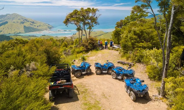 Quad Bike - Bayview Circuit