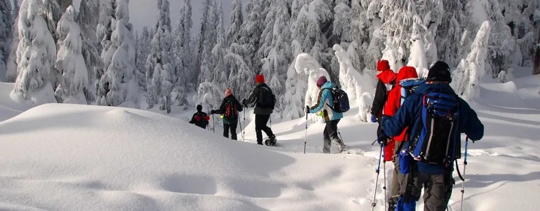 Snowshoeing adventure in Lapland