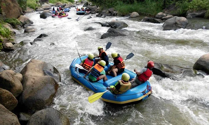 World-Class Mae Taeng River Whitewater Rafting Experience