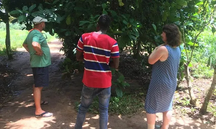 Spice Farm and Jozani Forest Private Tour