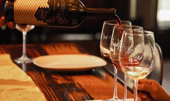 Guided tour with tasting at Viñedo los Arcángeles