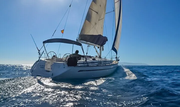 Dolphin and Whale Sailing Tour in Los Gigantes