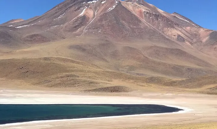 Full Day Tour to Piedras Rojas, Altiplanic Lagoons and Chaxa